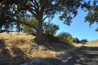 Enlarge photo 117