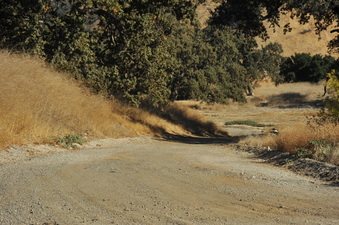 Enlarge photo 118