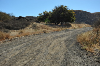Enlarge photo 119