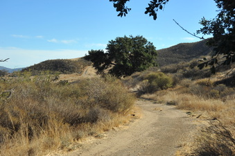 Enlarge photo 120