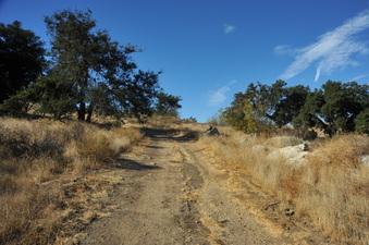 Enlarge photo 121