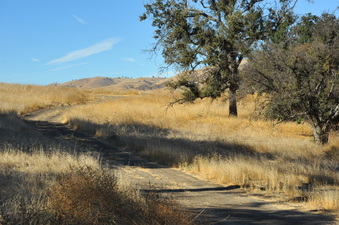 Enlarge photo 122