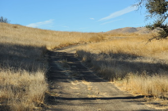 Enlarge photo 123
