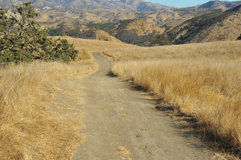Enlarge photo 124
