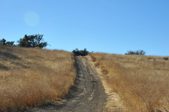 Enlarge photo 125