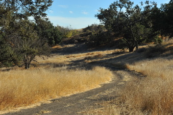 Enlarge photo 126
