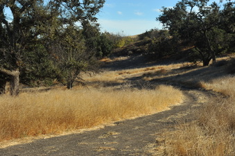 Enlarge photo 127
