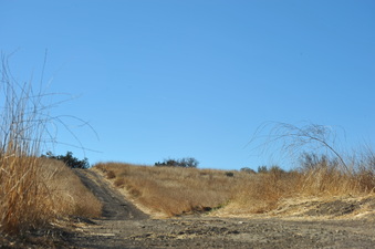 Enlarge photo 128