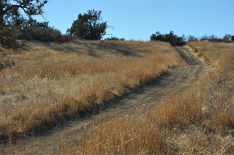 Enlarge photo 129