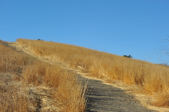 Enlarge photo 130