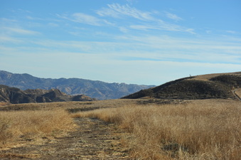 Enlarge photo 131