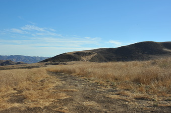 Enlarge photo 132