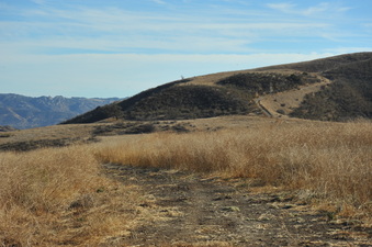Enlarge photo 133