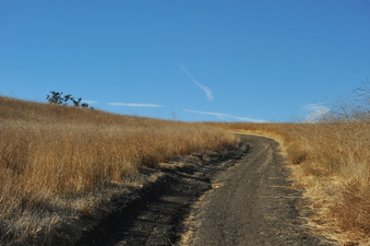 Enlarge photo 134