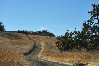 Enlarge photo 135