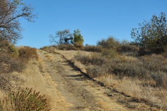 Enlarge photo 136