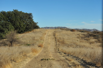 Enlarge photo 137