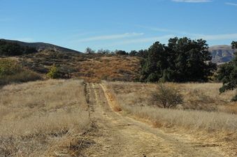 Enlarge photo 138