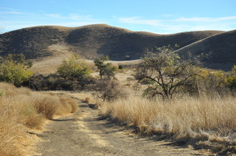 Enlarge photo 139