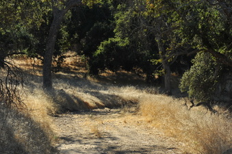 Enlarge photo 140