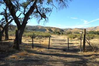 Enlarge photo 141