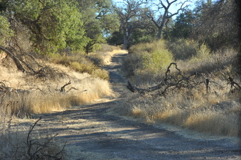 Enlarge photo 142