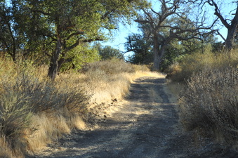 Enlarge photo 143