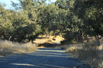 Enlarge photo 144