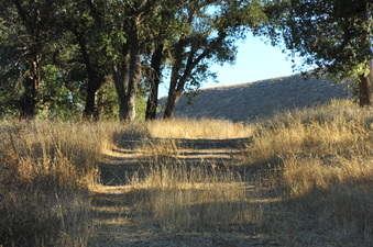 Enlarge photo 145