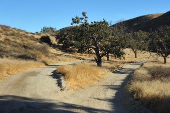 Enlarge photo 146