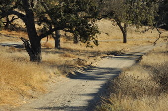 Enlarge photo 147