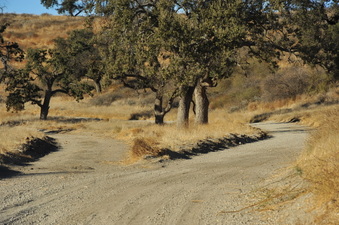 Enlarge photo 148