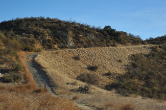 Enlarge photo 151