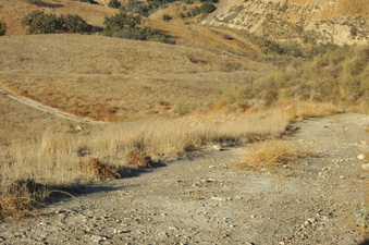 Enlarge photo 152