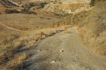 Enlarge photo 153
