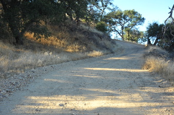 Enlarge photo 154