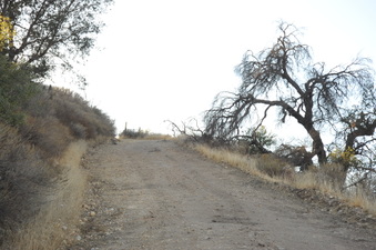 Enlarge photo 155