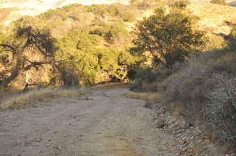 Enlarge photo 156