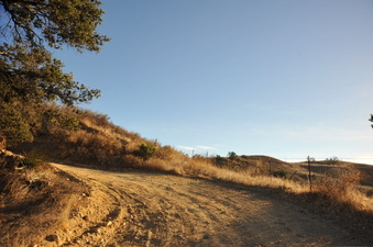 Enlarge photo 157