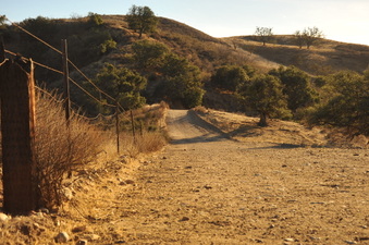 Enlarge photo 158