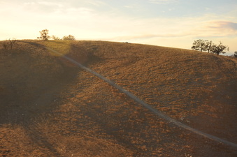 Enlarge photo 160