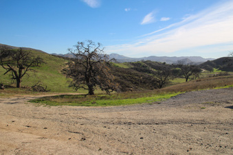 Enlarge photo 92