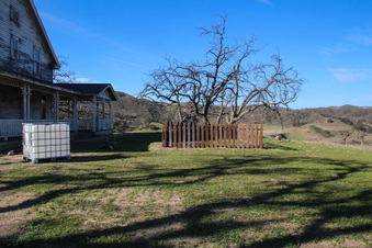 Enlarge photo 97