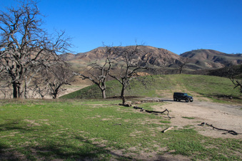Enlarge photo 99