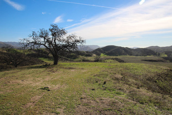 Enlarge photo 106