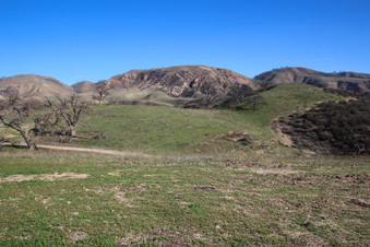 Enlarge photo 108