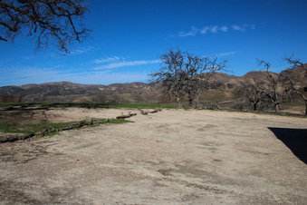 Enlarge photo 113
