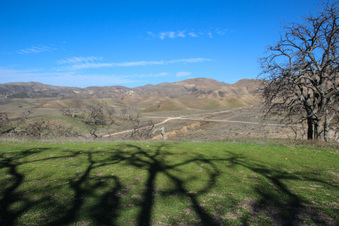 Enlarge photo 64