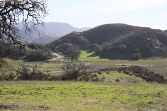 Enlarge photo 73