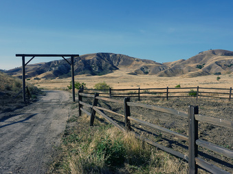 Enlarge photo 11